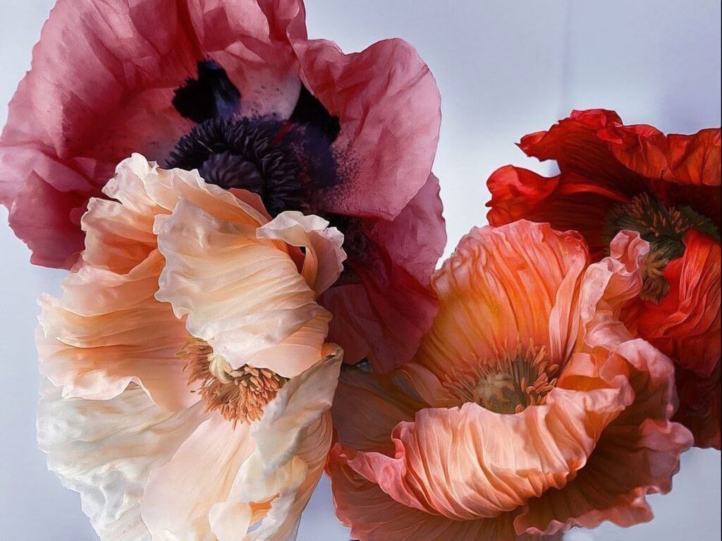 flores de primavera de Extraflor con color, variedad, calidad, cantidad.