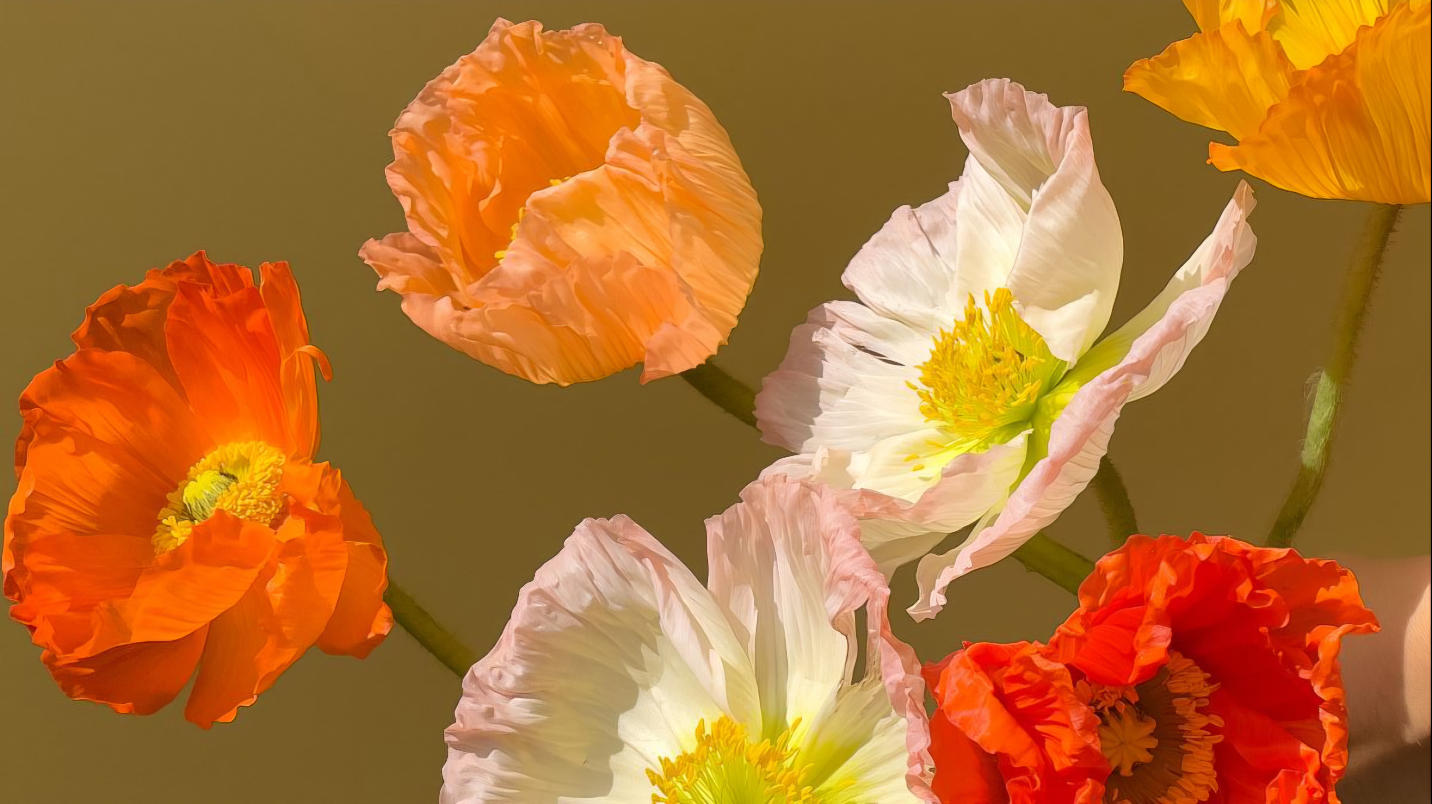 flores de primavera de Extraflor con color, variedad, calidad, cantidad.