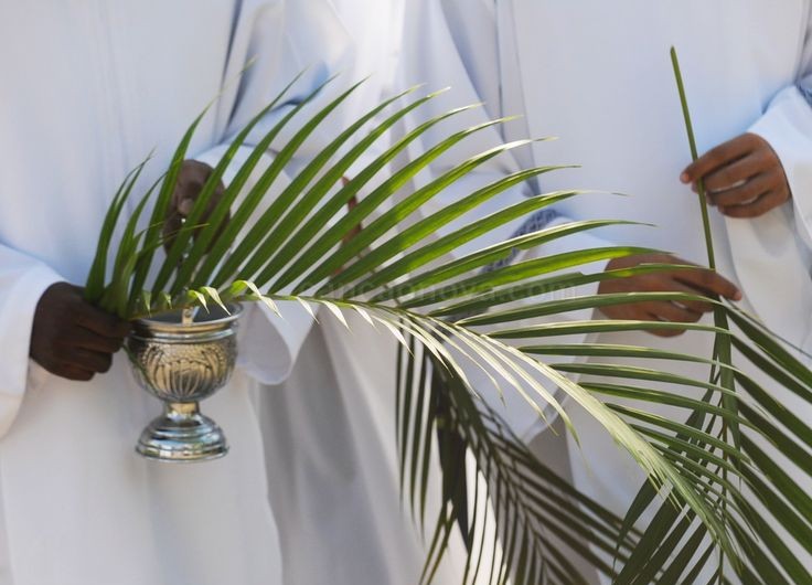 Ramajes verdes durante la Semana Santa, una de las campañas más importantes para el sector floral.