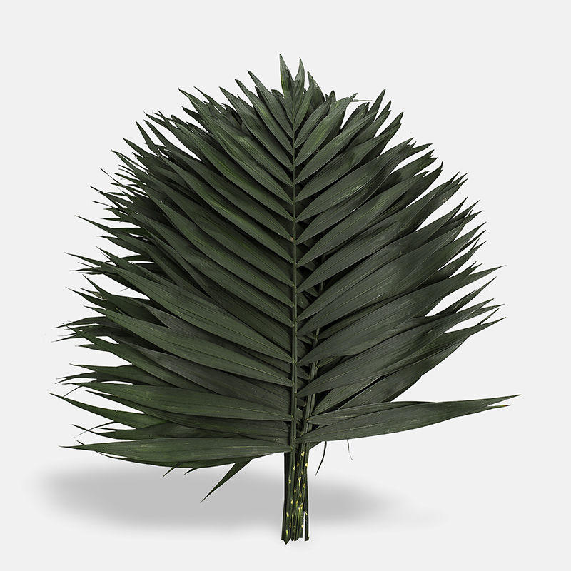 teepee verde ornamental para arreglos con flor natural