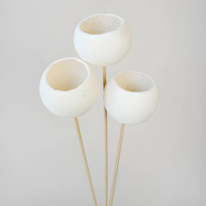 Tres piezas de Bell Cup de color blanco dispuestas verticalmente con tallos largos sobre un fondo neutro.