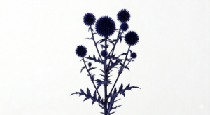 Una inflorescencia esférica y perfecta de Echinops Fantasía Oscuro en un profundo matiz purpúreo casi negro con destellos irisados, erguida firmemente sobre un tallo de silueta lineal.