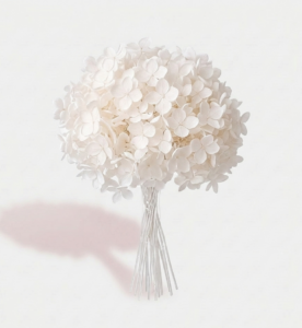 Hortensia preservada de color azul celeste pastel en un jarrón de cerámica blanca minimalista.