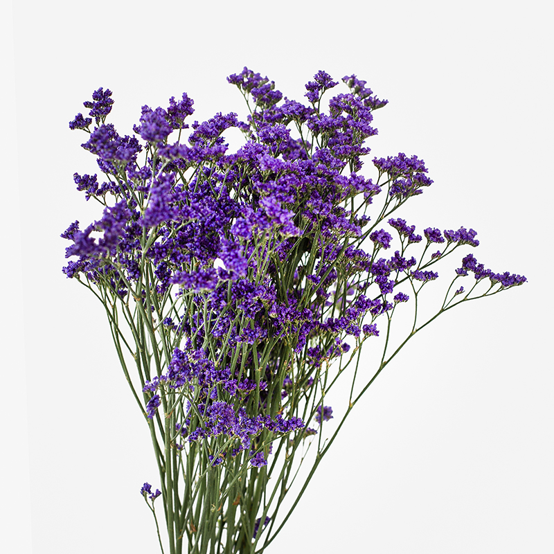 Ramo de Limonium morada con pequeñas flores violetas de textura aérea y elegante apariencia silvestre.