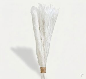 Ramillete vertical de plumas extra en color blanco puro con tallos atados con cuerda, aislado sobre fondo claro.