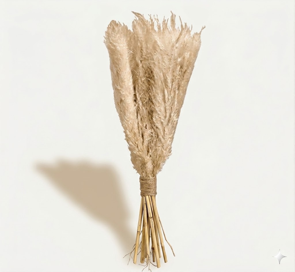 Ramillete vertical de plumas extra en tono beige natural con tallos atados con cuerda, aislado sobre fondo claro.