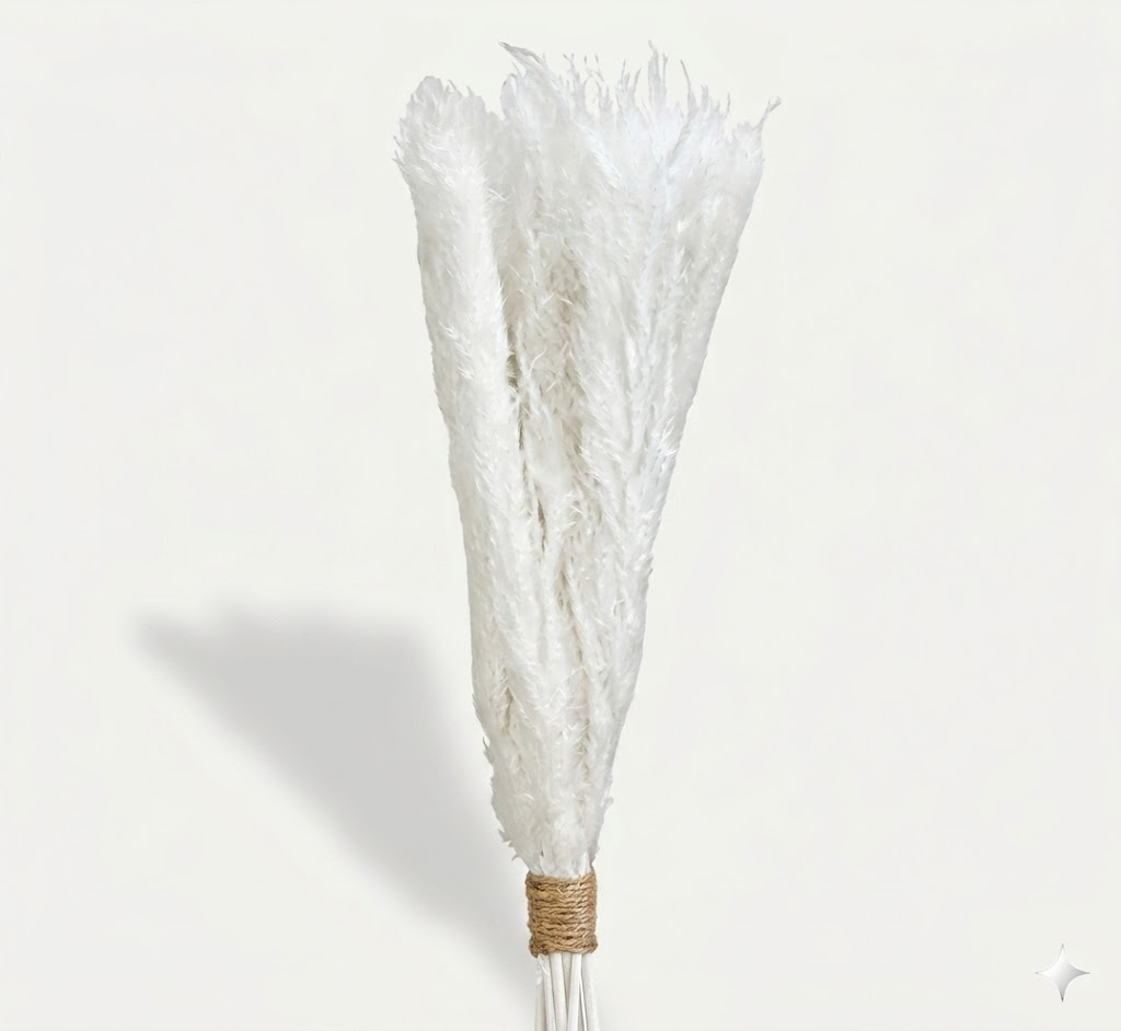 Ramillete vertical de plumas extra en color blanco puro con tallos atados con cuerda, aislado sobre fondo claro.