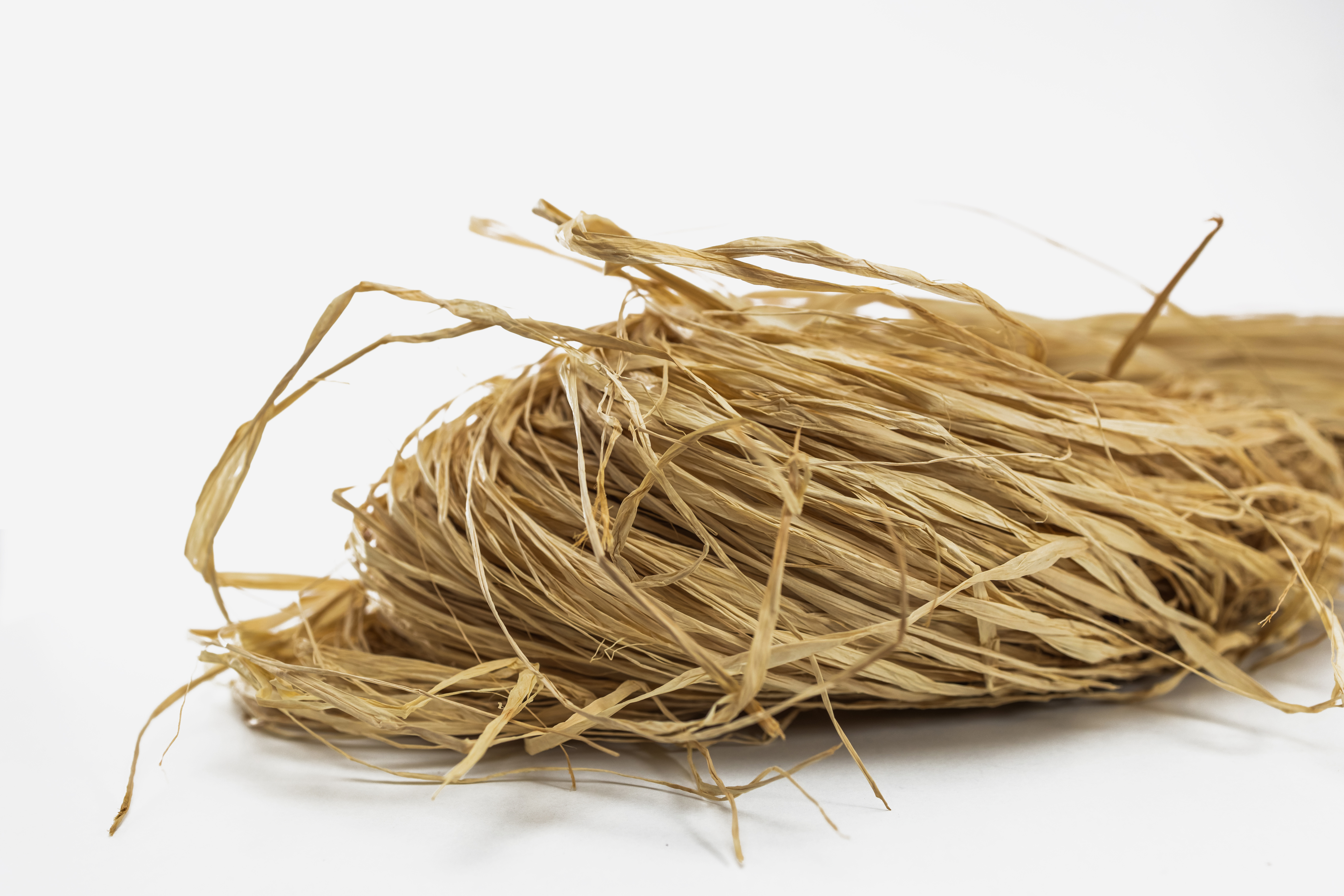 Haz de fibras de rafia natural de palma en tonos paja y ocre, con textura orgánica irregular y extremos deshilachados, dispuesta de forma artística sobre un fondo de madera clara.