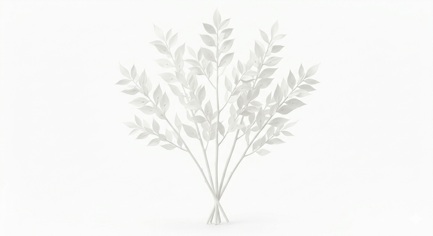 Varias ramas estilizadas de Ruscus Blanco dispuestas de forma armónica, mostrando sus características hojas lanceoladas de un blanco puro e inmaculado sobre un fondo blanco limpio.