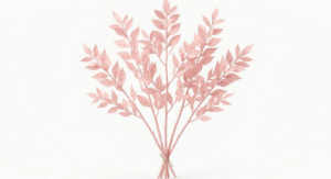 Varias ramas estilizadas de Ruscus Rosa dispuestas con delicadeza, mostrando sus hojas lanceoladas en un suave tono rosa empolvado sobre un fondo blanco limpio.