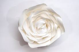 Shola Camelia