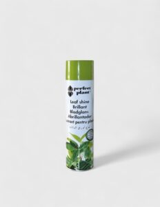 Envase de spray abrillantador de hojas Perfect Plant, mostrando el efecto de brillo instantáneo y limpieza sobre el follaje de una planta de interior de hojas grandes.