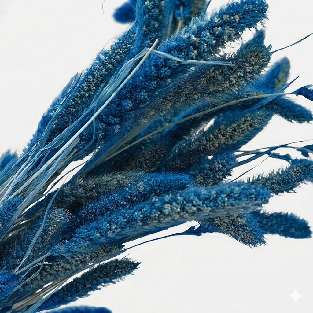 Primer plano detallado de las espigas de setaria azul preservada, resaltando su textura densa y aterciopelada.