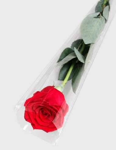 Bolsa de polímero transparente de alta resistencia diseñada para transporte floral, con asas reforzadas y base estable, mostrando su claridad cristalina sobre un fondo neutro.