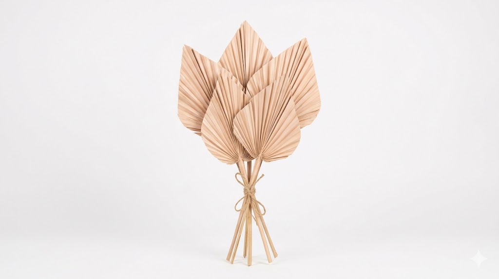 Una elegante hoja de Palm Spear deshidratada en un suntuoso tono beige lino, exhibiendo su corte simétrico en forma de lanza y su estructura plisada sobre un fondo blanco limpio.