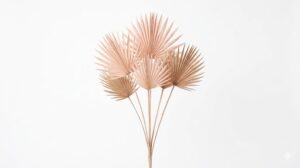 Una sofisticada hoja de Palm Sun deshidratada en color rosa pastel, mostrando su silueta circular recortada y su textura plisada en forma de abanico sobre un fondo blanco limpio.