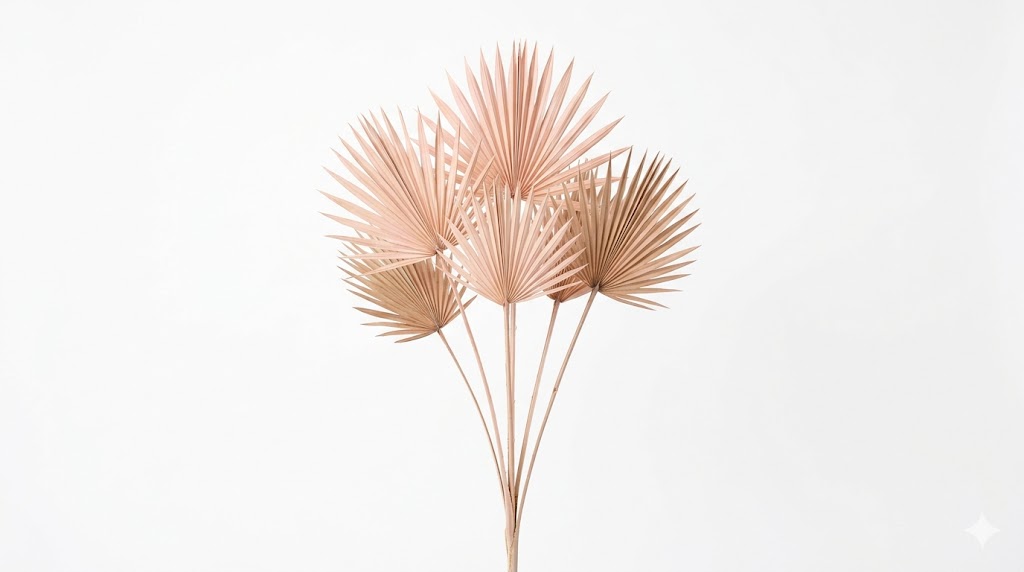 Una sofisticada hoja de Palm Sun deshidratada en color rosa pastel, mostrando su silueta circular recortada y su textura plisada en forma de abanico sobre un fondo blanco limpio.