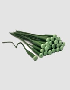 Tubo para flor con punta
