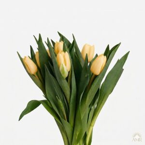 Composición de tulipanes amarillos crema en plano medio resaltando su estructura elegante.