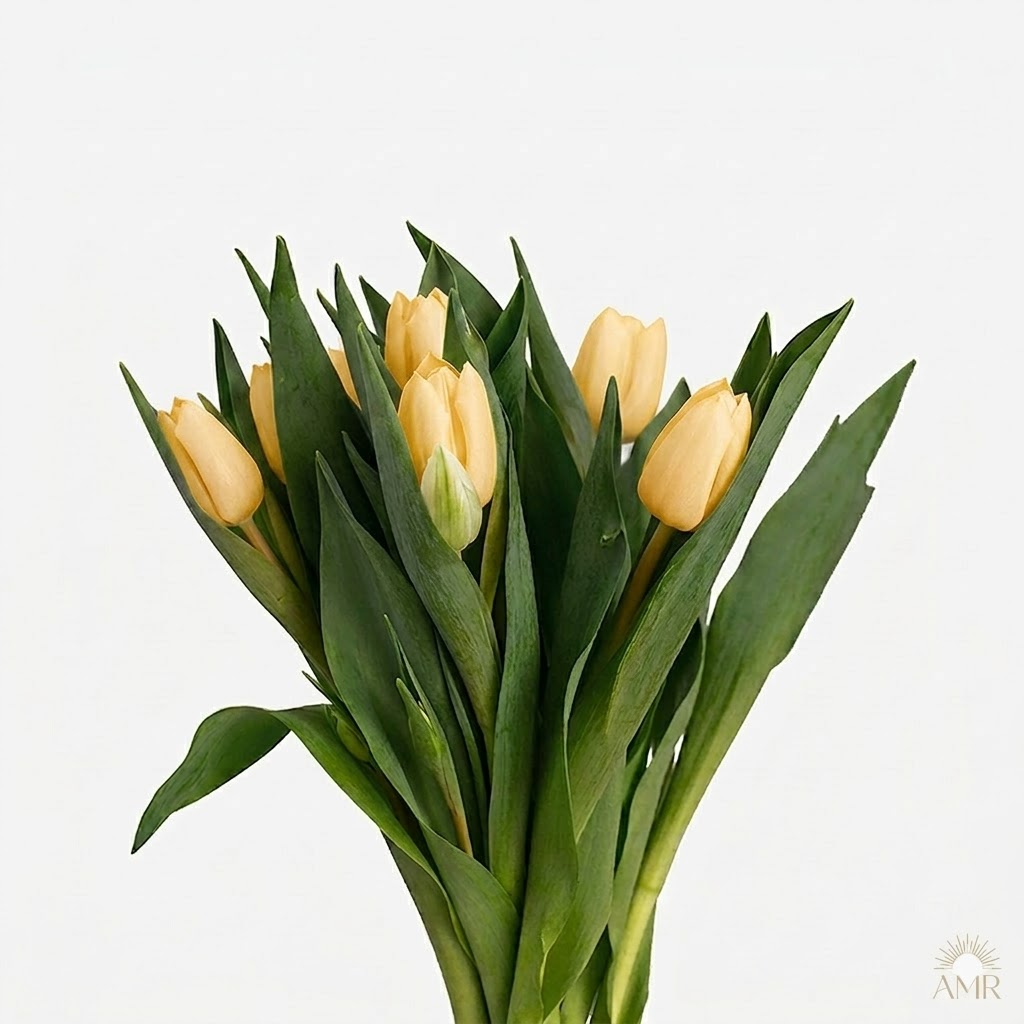 Composición de tulipanes amarillos crema en plano medio resaltando su estructura elegante.