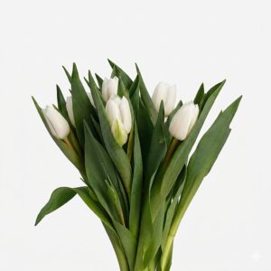 Composición de tulipanes blancos enfocada desde arriba mostrando la disposición de las flores y el follaje.
