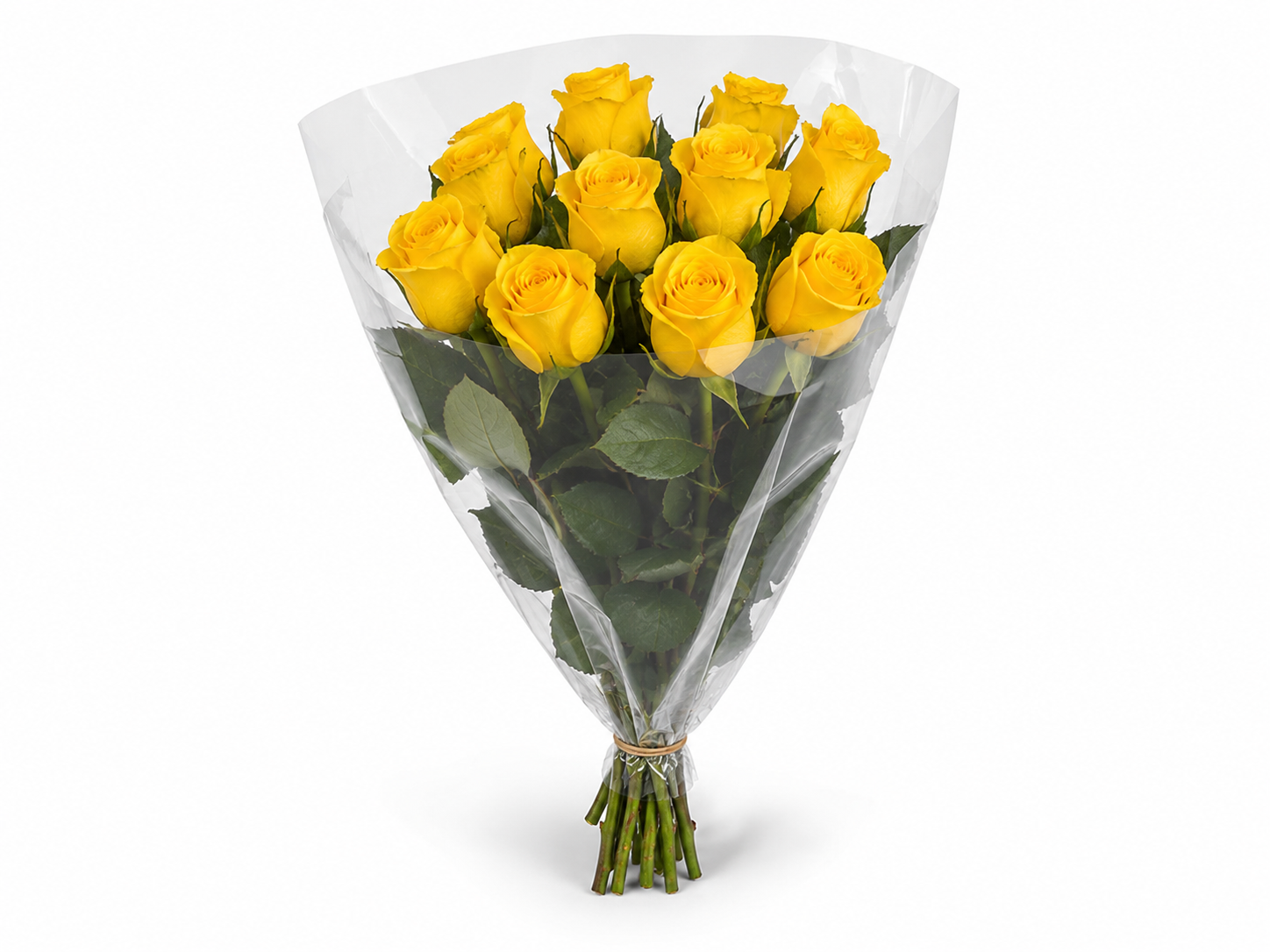 Venta de Rosas de Holanda al por mayor. Tu mayorista de flor cortada te ofrece rosas de importación con calidad premium y gran variedad de medidas bajo encargo para floristerías de alto nivel.