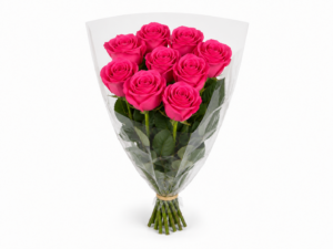 Venta de Rosas de Holanda al por mayor. Tu mayorista de flor cortada te ofrece rosas de importación con calidad premium y gran variedad de medidas bajo encargo para floristerías de alto nivel.