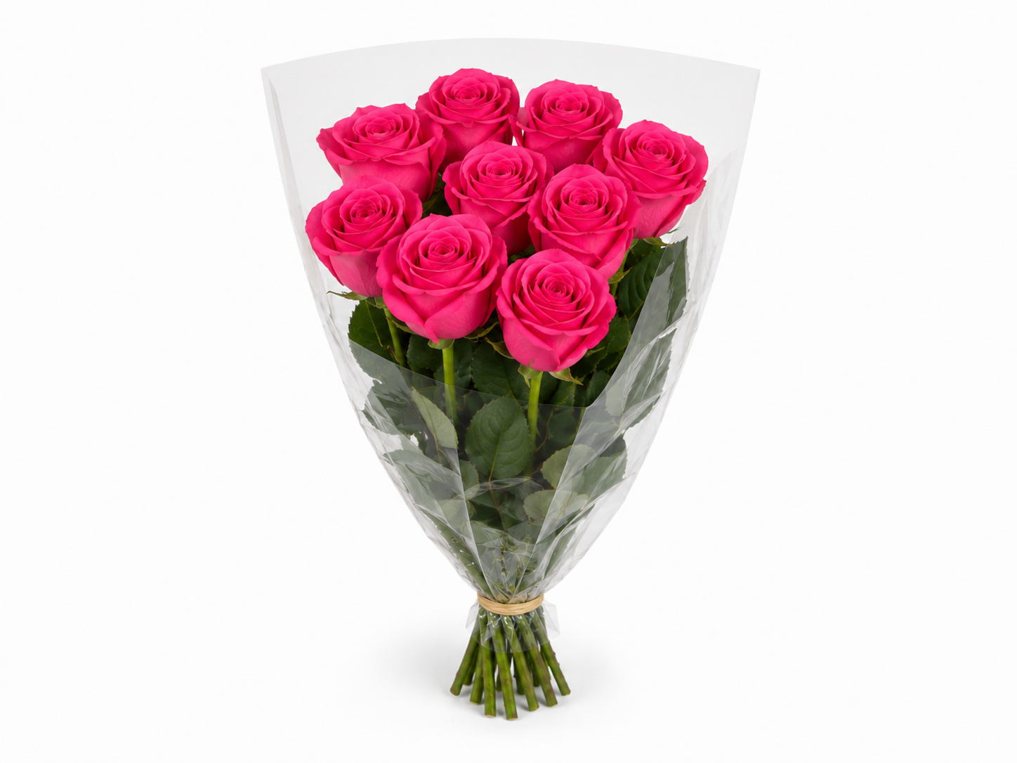 Venta de Rosas de Holanda al por mayor. Tu mayorista de flor cortada te ofrece rosas de importación con calidad premium y gran variedad de medidas bajo encargo para floristerías de alto nivel.