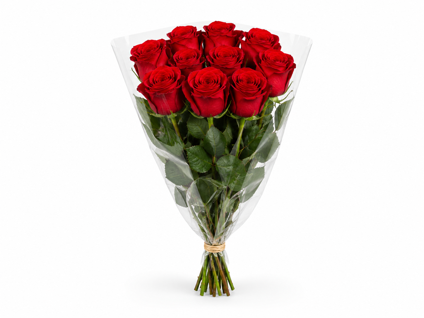 Venta de Rosas de Holanda al por mayor. Tu mayorista de flor cortada te ofrece rosas de importación con calidad premium y gran variedad de medidas bajo encargo para floristerías de alto nivel.