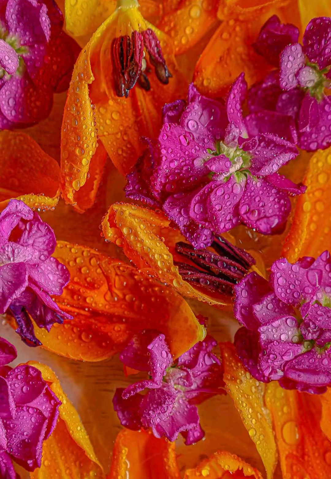 Damos la bienvenida al verano este 21 de septiembre. Una temporada llena de luz, color y alegría para llenar tu floristería. Descubre el catálogo de Extraflor.