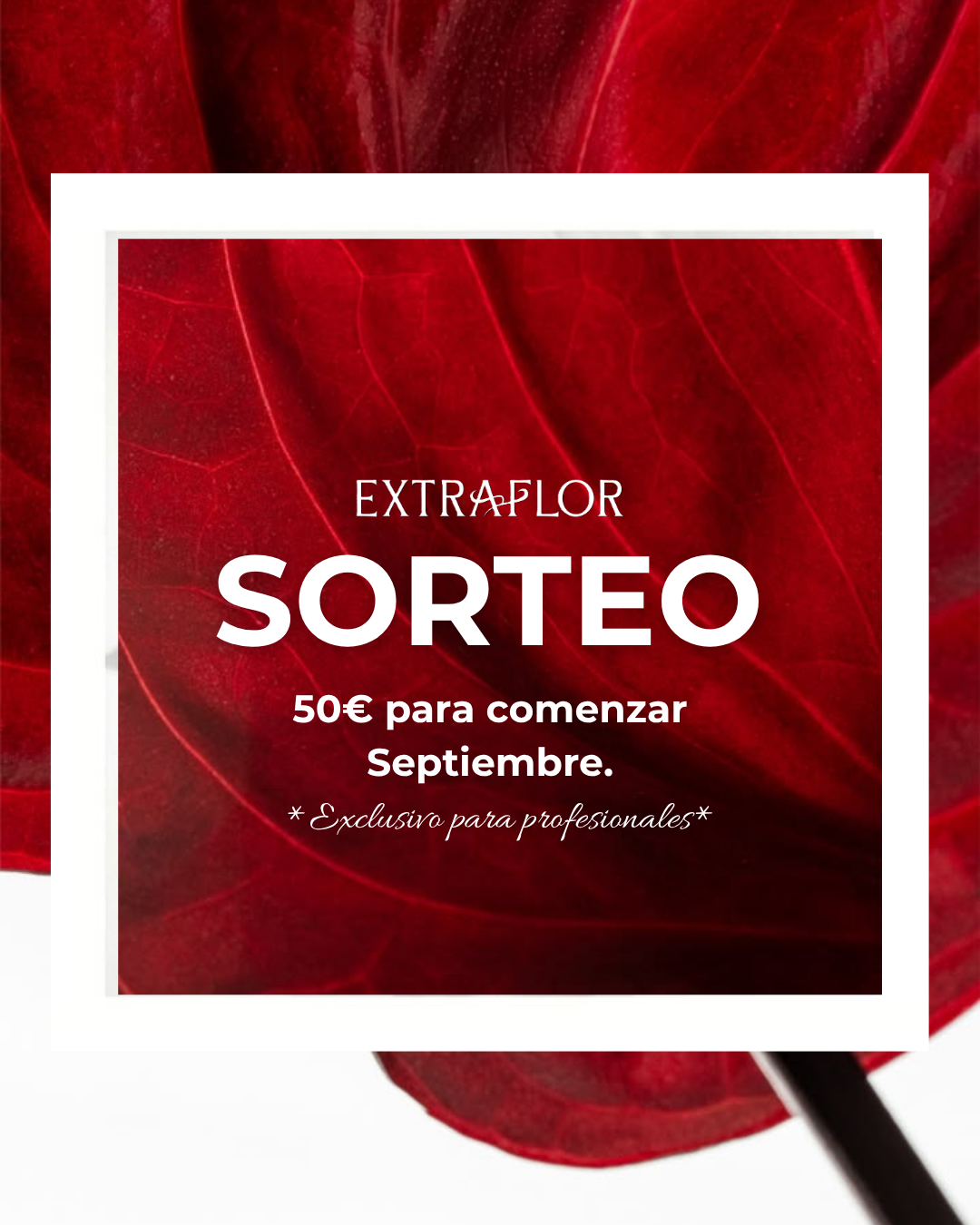 Sorteo Vuelta a Septiembre de Extraflor con premio de 50 euros